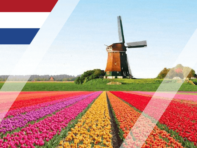 Study in Netherlands